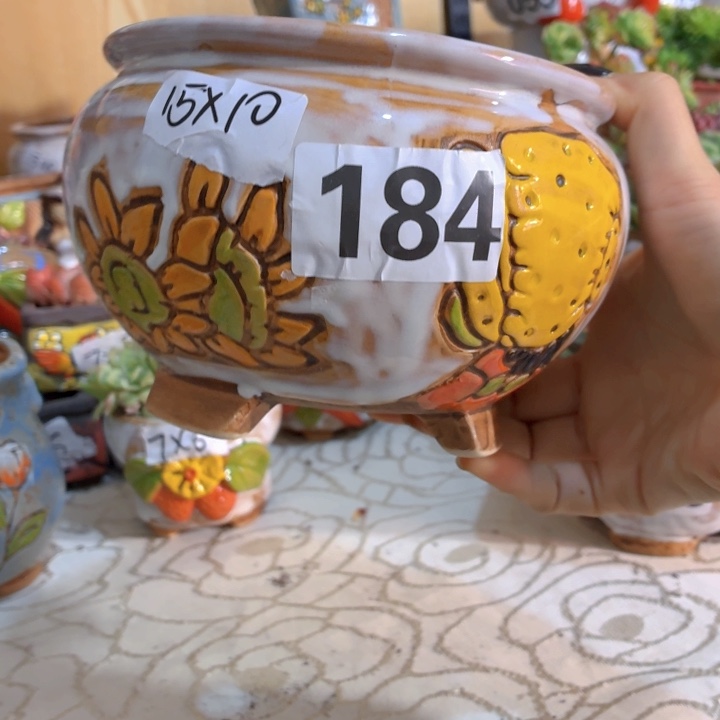 多肉花盆满15包邮