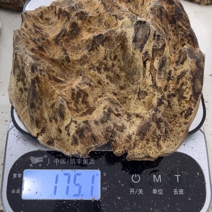 沉香沉香木制品海南黄油格175克