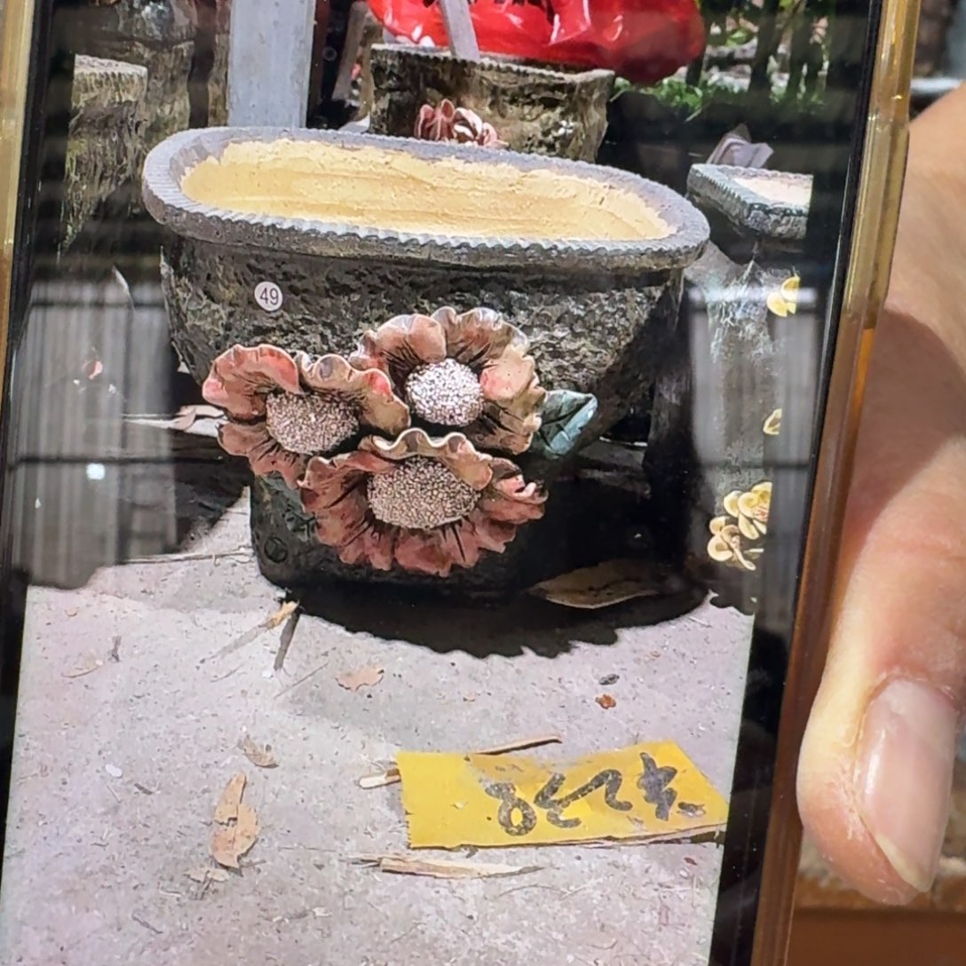 凤****内口21左右外高19左右特价