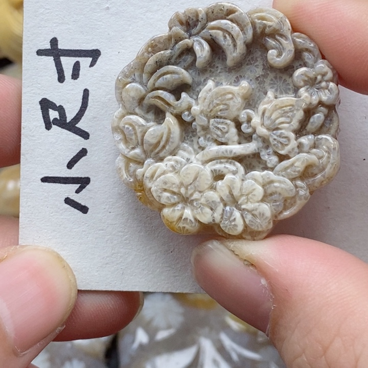 颈饰未镶嵌硅化珊瑚（珊瑚玉）