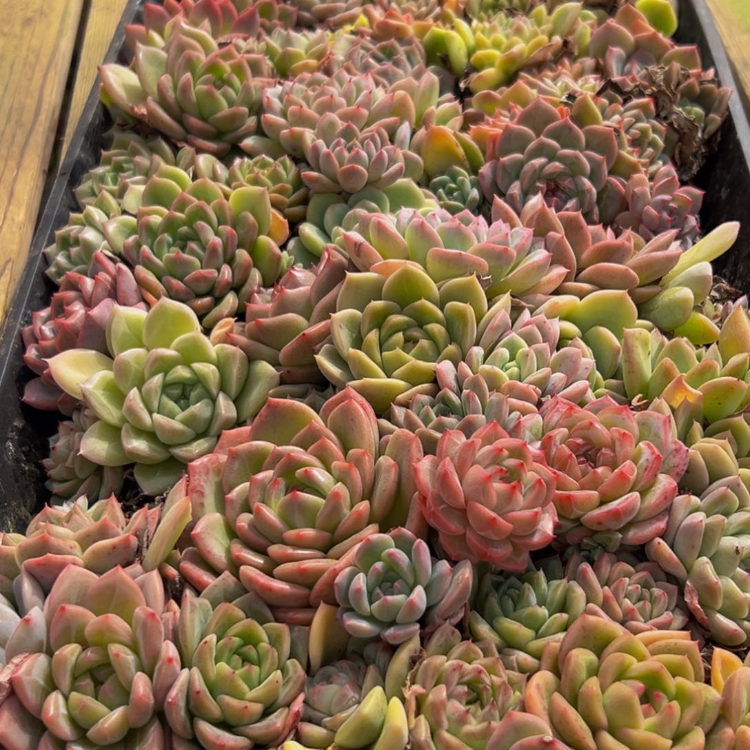 047的最后一天了我的