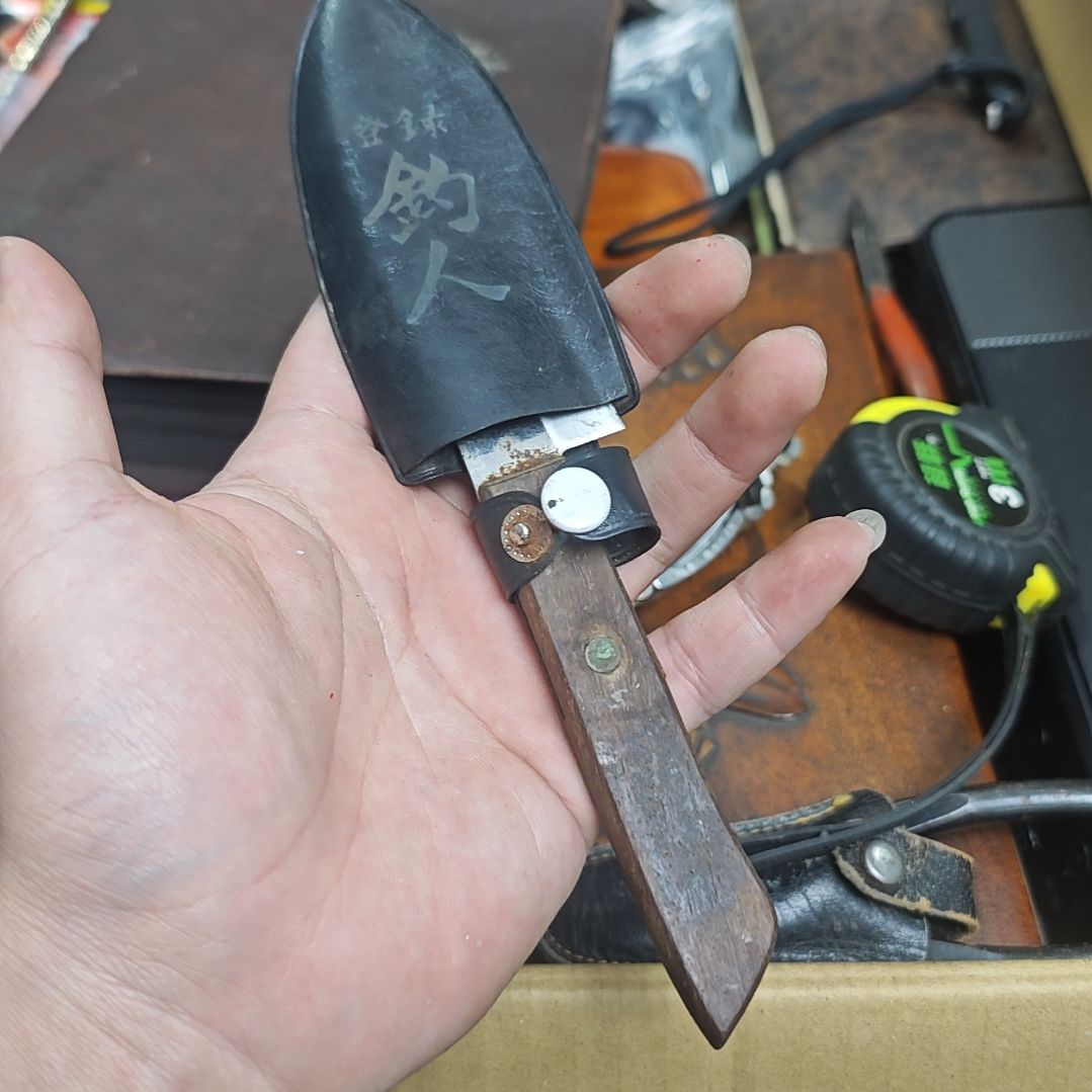 鱼****噢噢噢噢噢噢噢哦哦模型