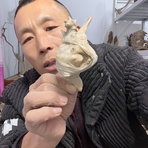 【闪购商品】柏木（崖柏）9