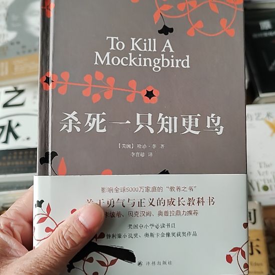杀死一只知更鸟精装