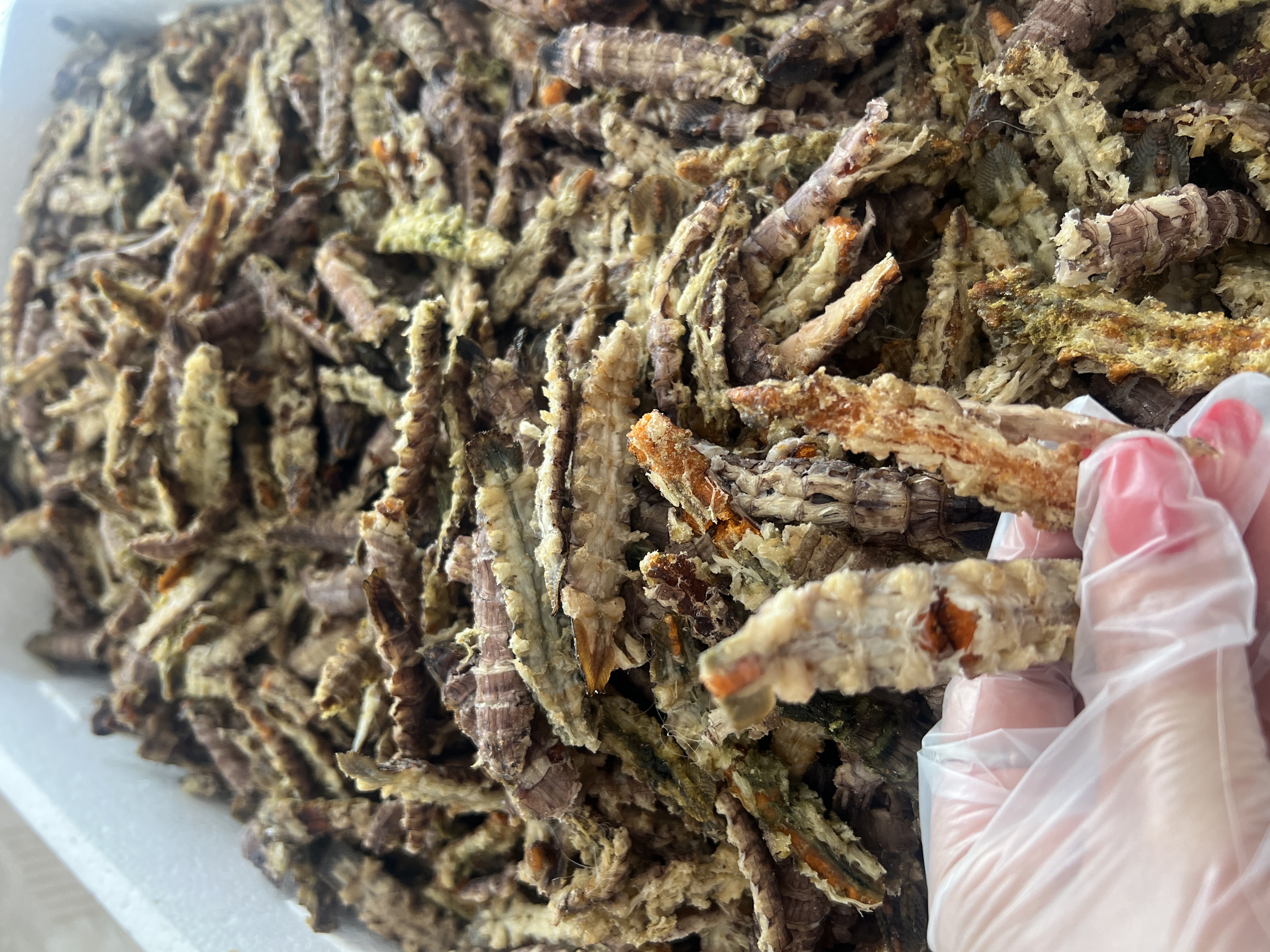 【红岛发货】无盐干货烘干虾虎肉皮皮虾肉干7-8成干干货海鲜