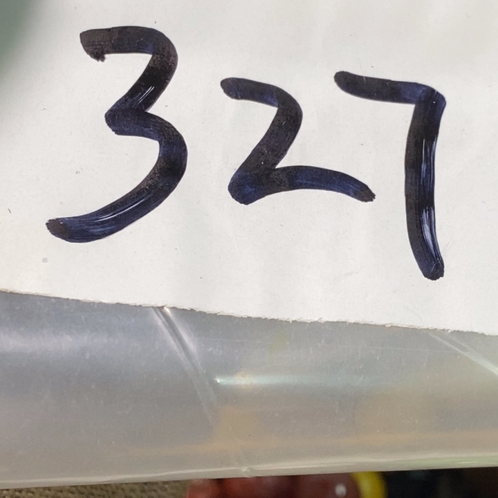 用***6娜娜文玩杂项专属链接