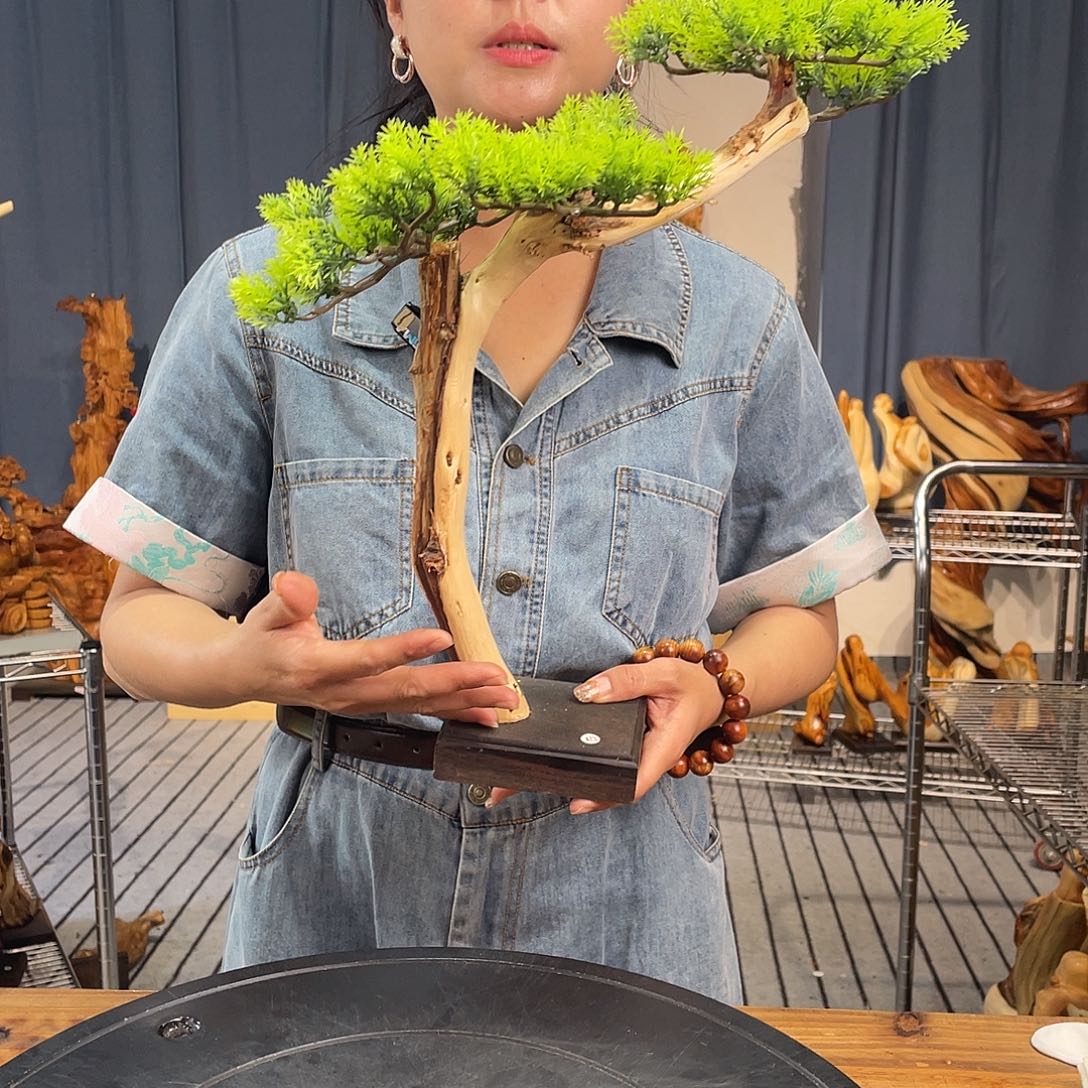 柏木（崖柏）迎客松