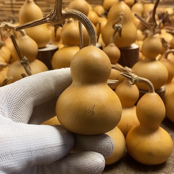 文玩葫芦 完美主义者 慎拍106