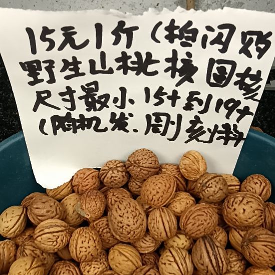 桃核吊坠野生山桃核圆核15元一斤随机发
