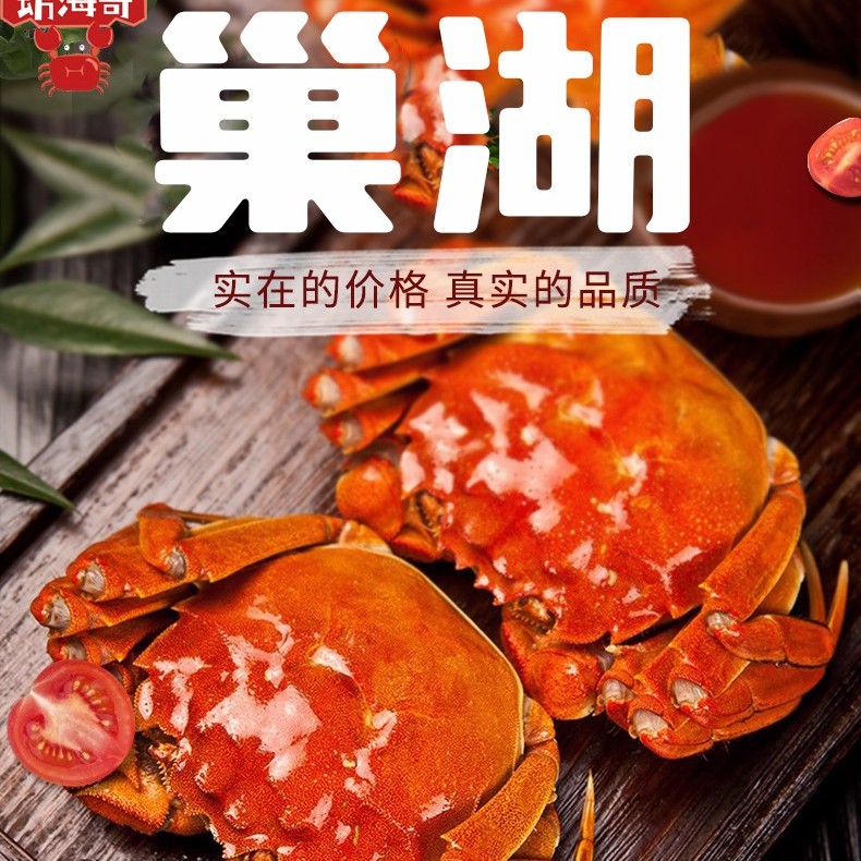 巢湖螃蟹【挑膏活蟹】2.4-2.6两全母螃蟹10只 香草绑 礼盒包装