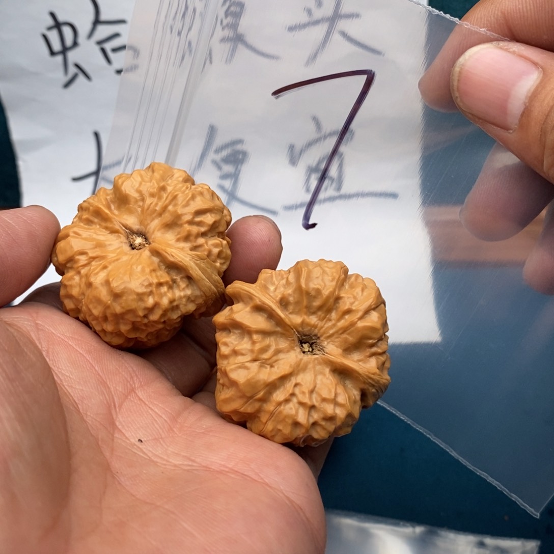 ，上课上课尔军绿色了深绿色