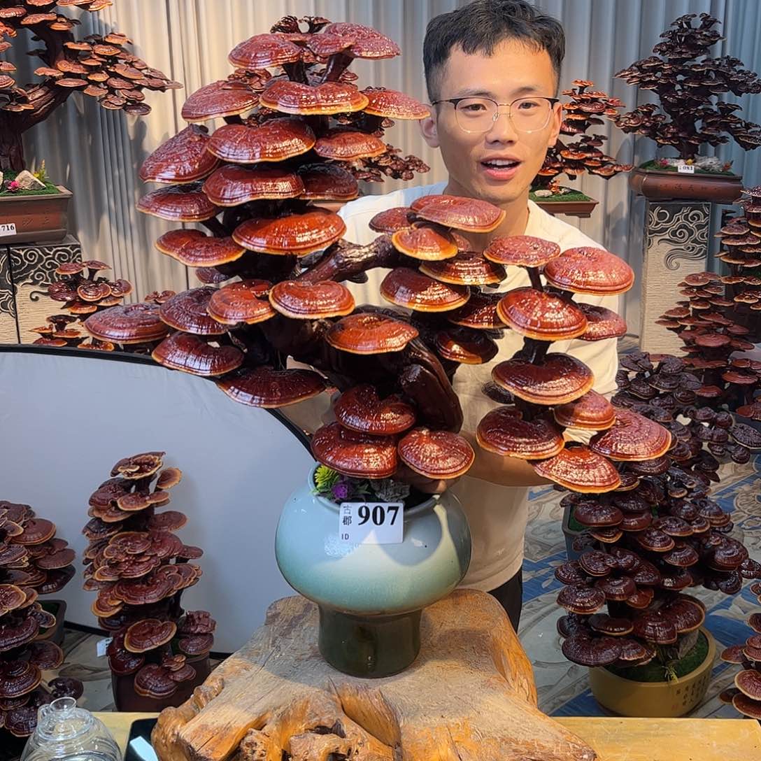 无花朵888888888888