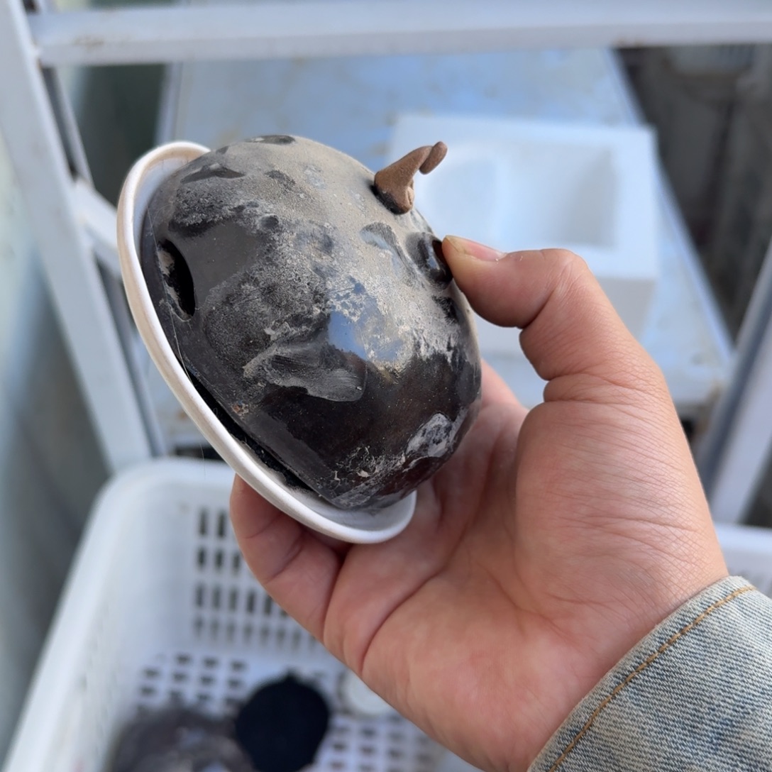 陶瓷茶具微瑕介意勿拍紫泥