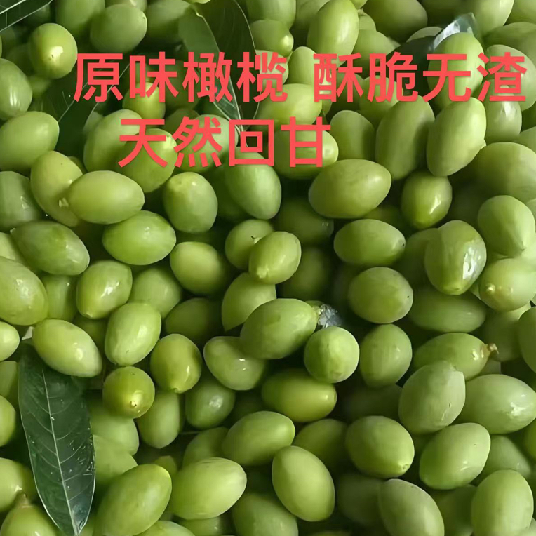 文开精选·原味橄榄，新鲜现摘酥脆无渣，清香回甘