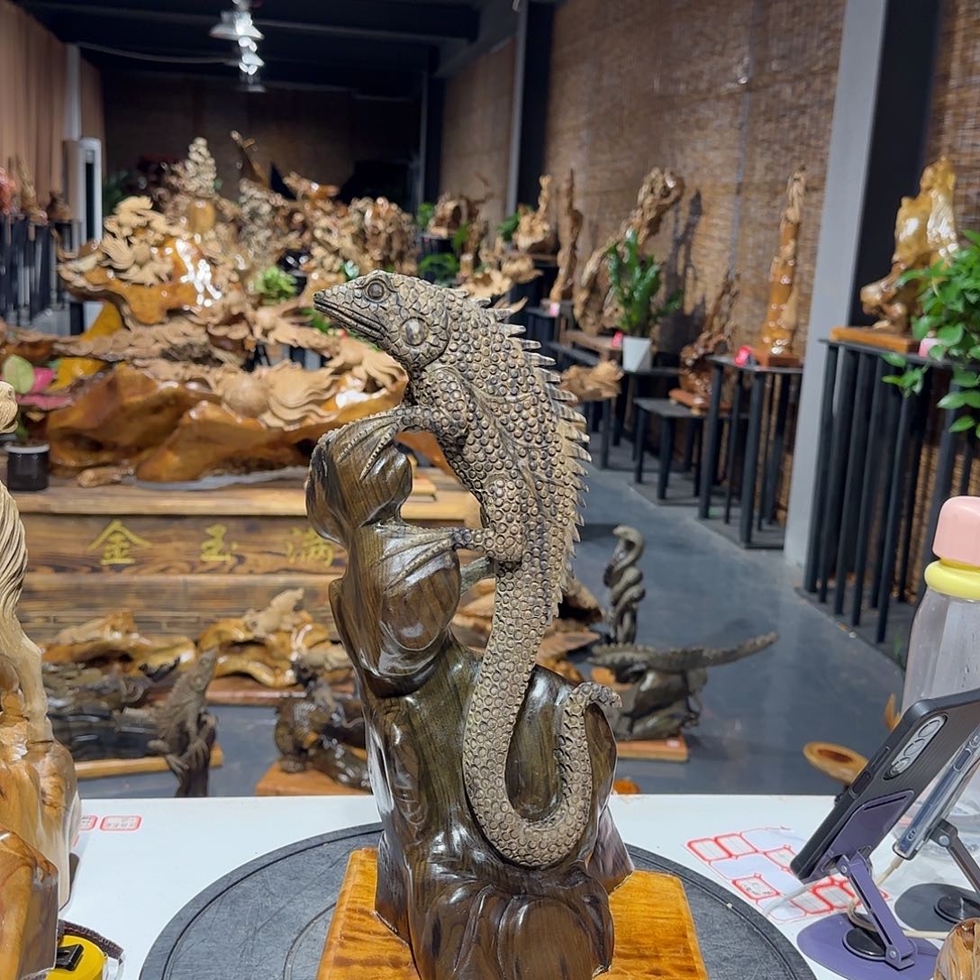 阴沉木阿*l阴沉木蜥蜴