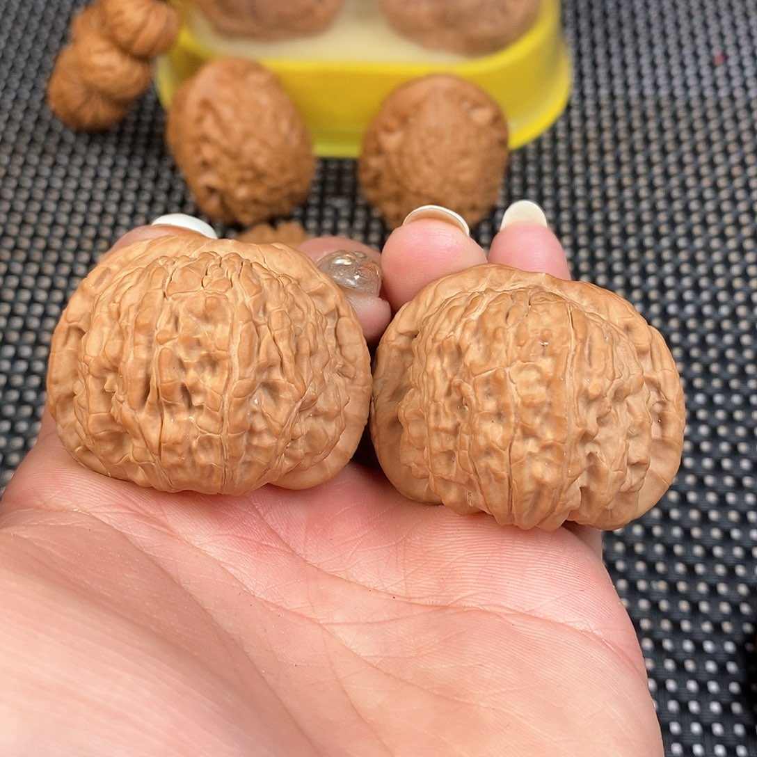 文玩核桃把件42尺满肉白狮子全品