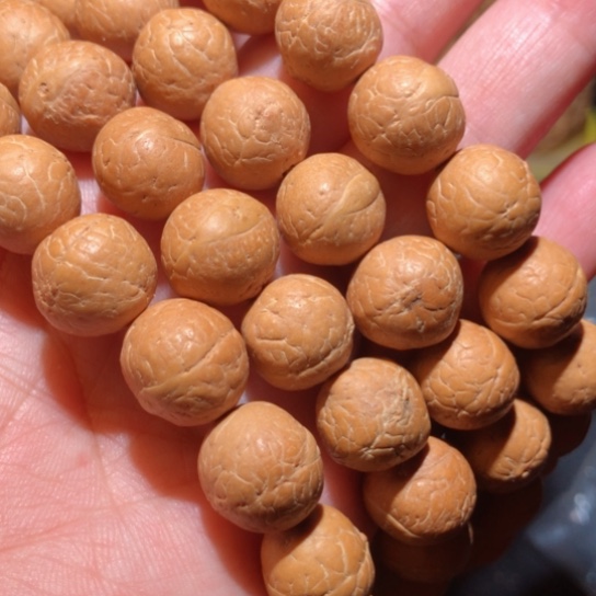 文玩核桃把件凤眼菩提108