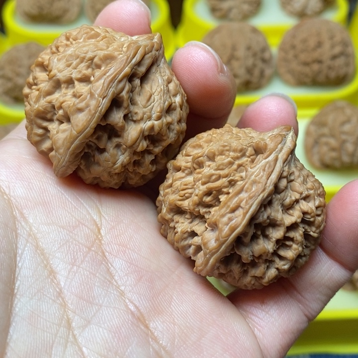 文玩核桃球星星38