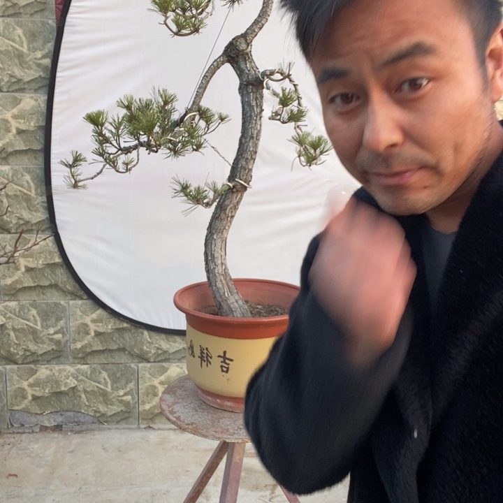 无花朵黄杨木雕作品欣赏。