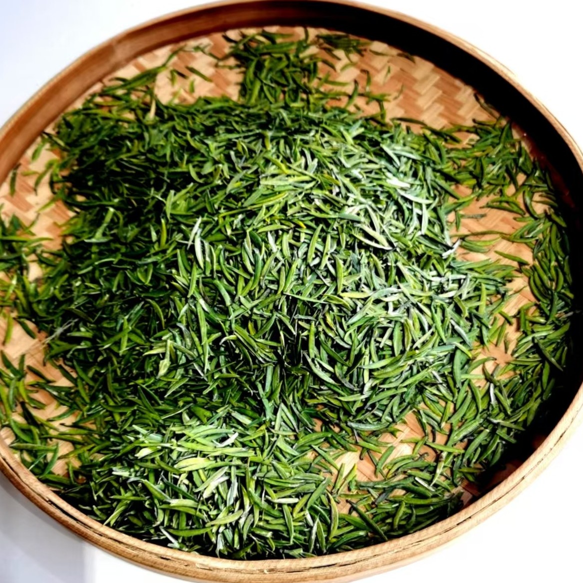 2025年头春头采雀舌（贡芽） 鲜爽回甘 茶汤鲜嫩爽口叶底鲜活 