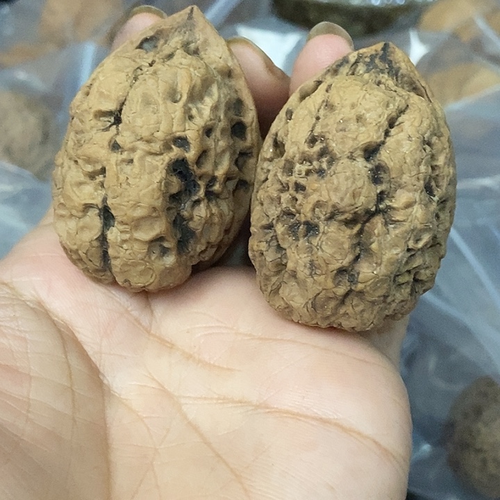 文玩核桃把件云南铁核桃基地61