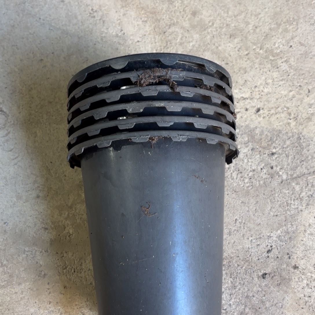 大兰花盆17.5✖️19发11个