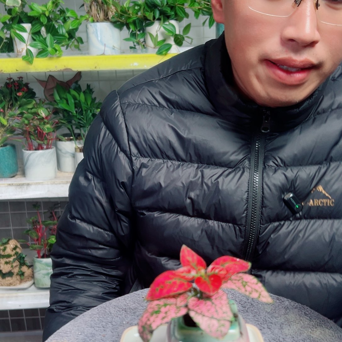 本***药无花朵23                  