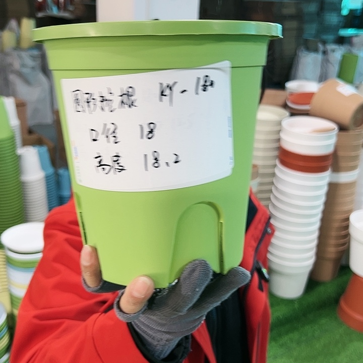 正品圆控口18高18果绿无托8只