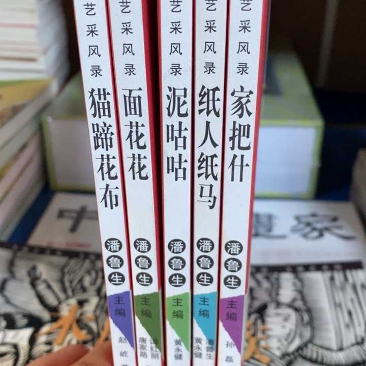 潘鲁生老师5本一套