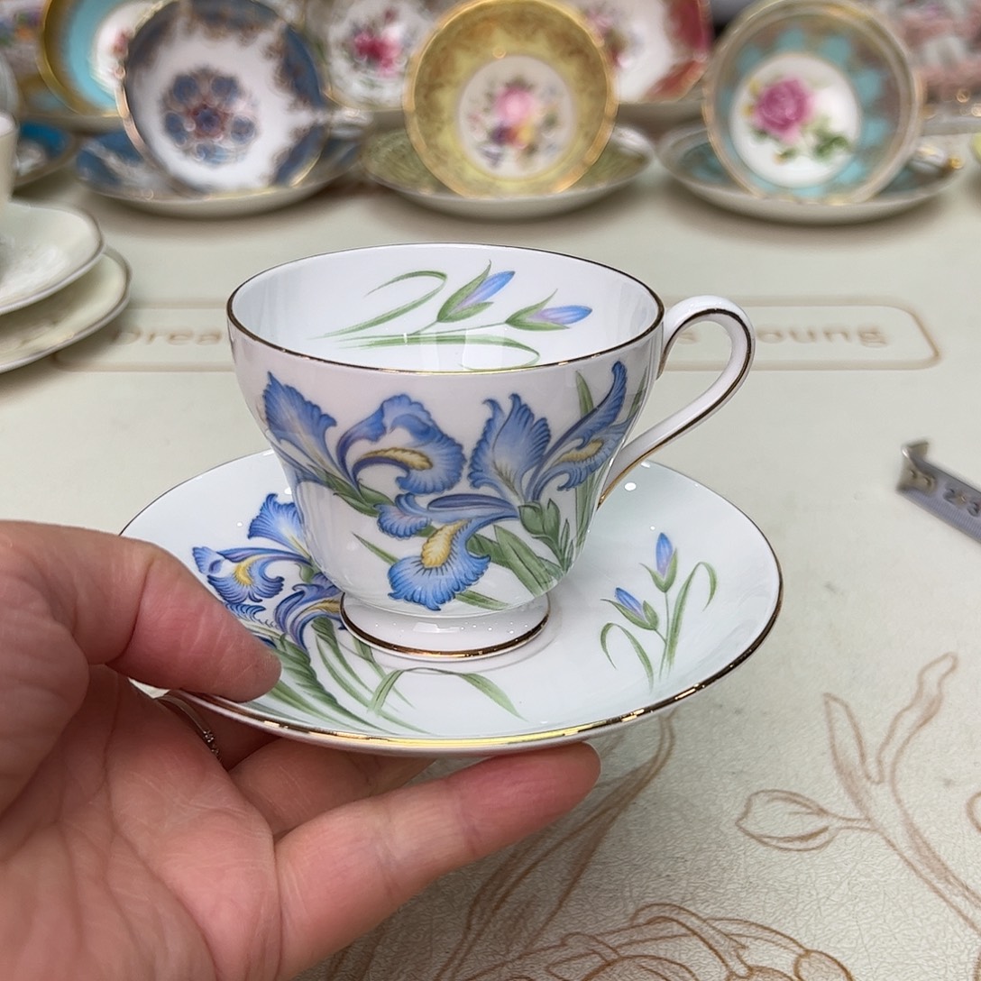 盘维多利亚欧洲中古