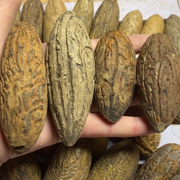 苯***明吊坠千眼菩提菩提