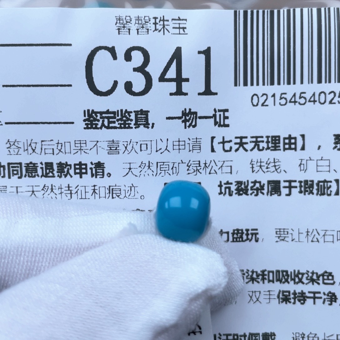 入***栖绿松石未镶嵌颈饰