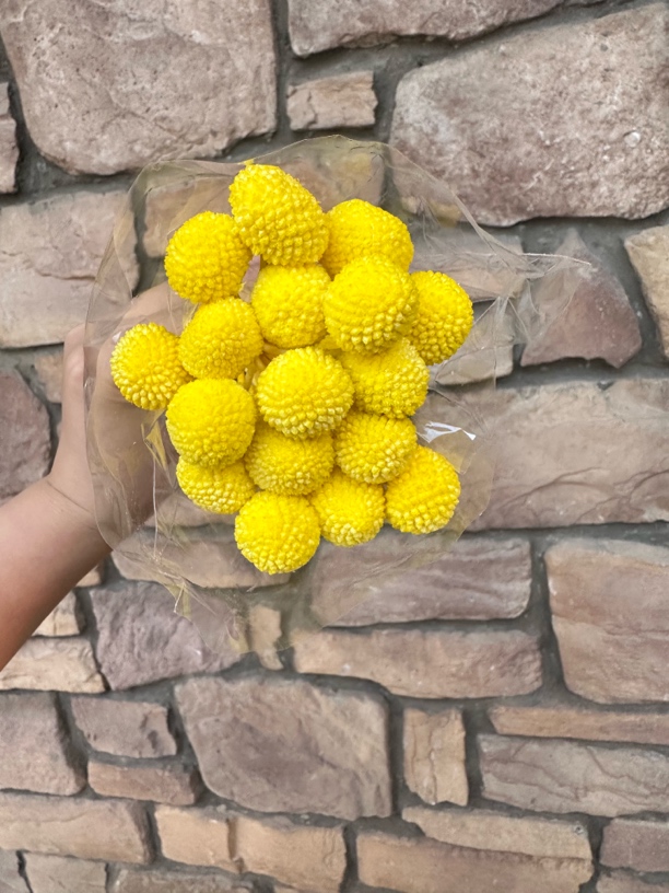 永生黄金球质量保证干花客厅黄色干花永生花果实批发