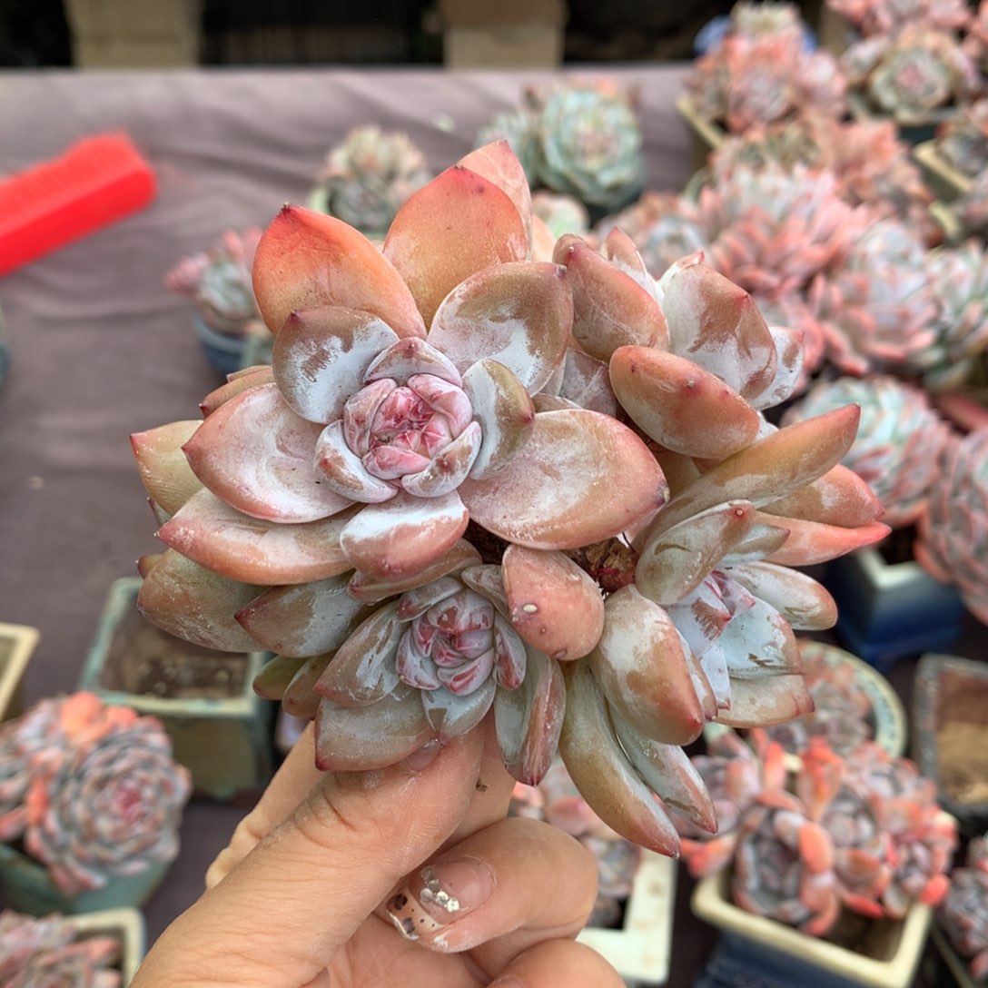 哈哈哈哈哈哈哈哈哈哈哈