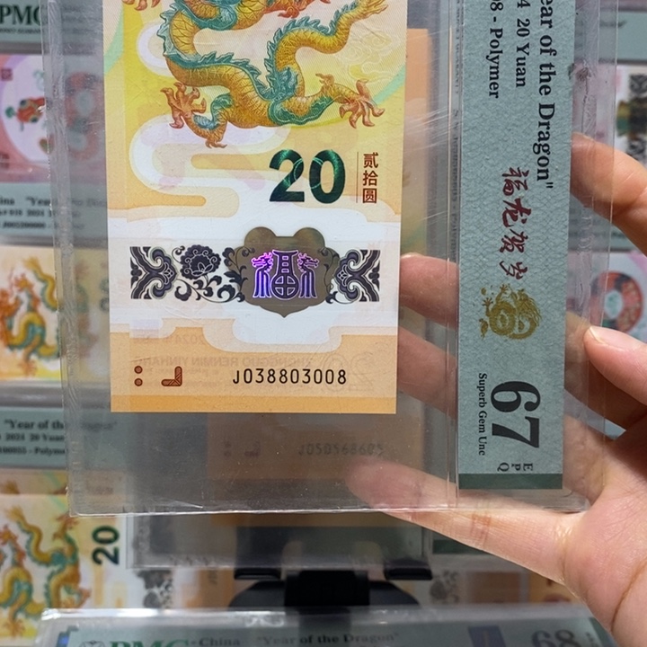 小龙钞倒影王龙三尾8