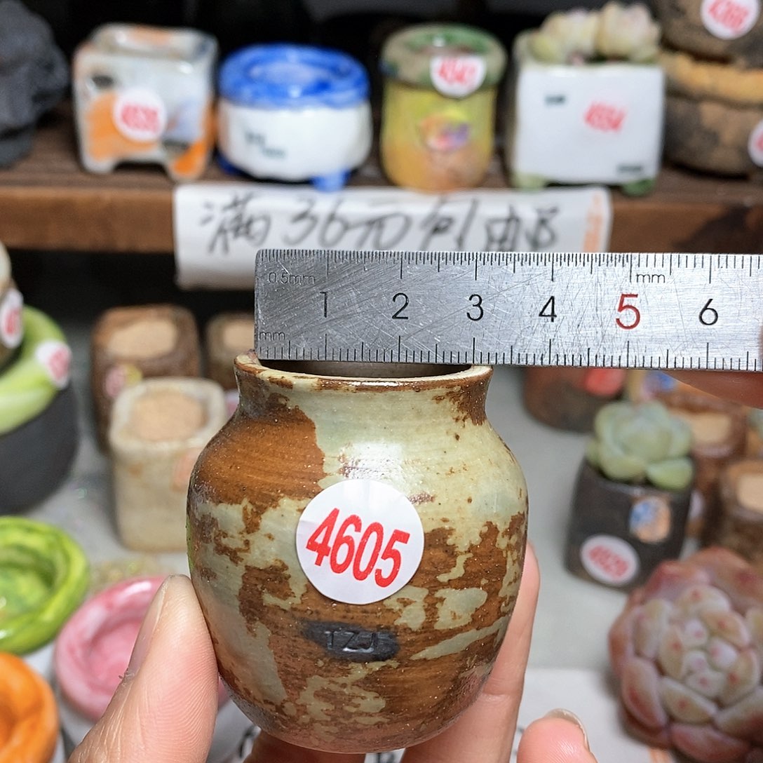 红陶拍5送一个小