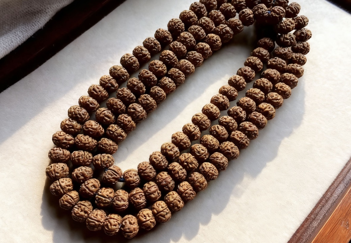 【青岩】老树王10尺寸矮壮差3.2小金刚