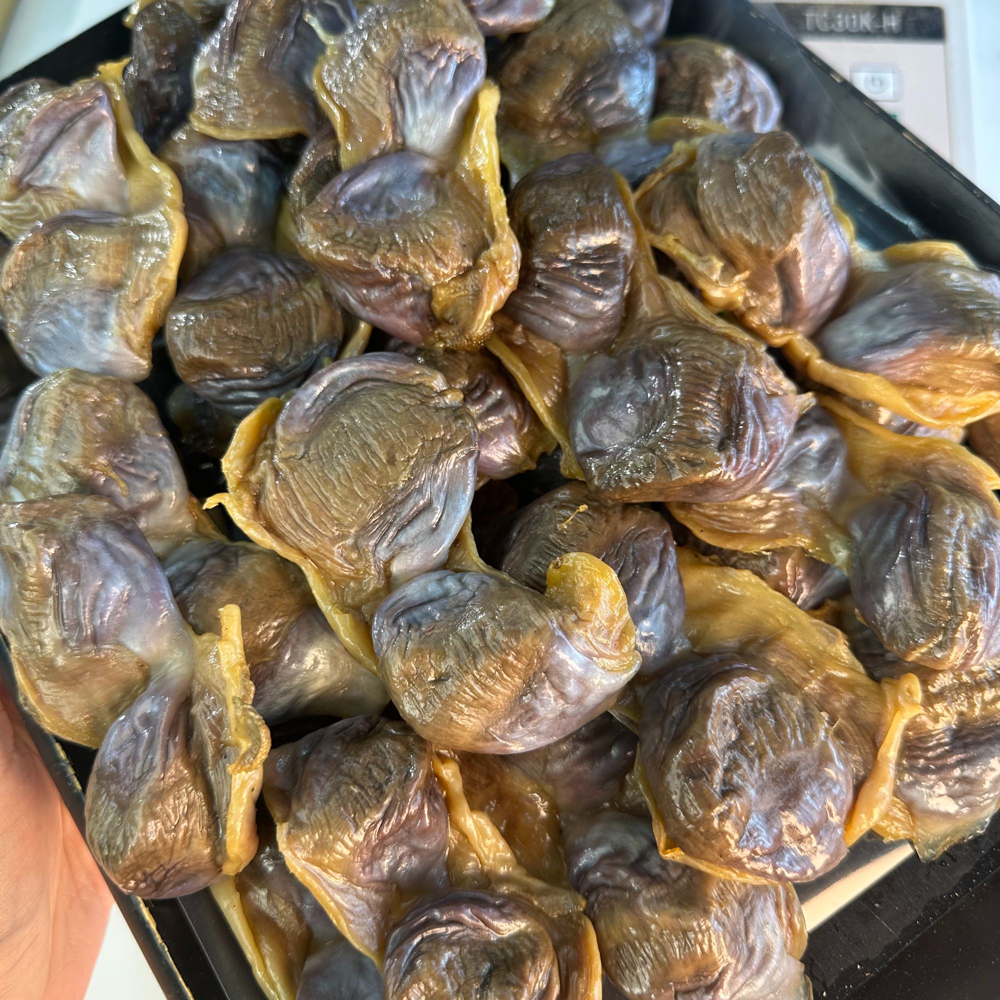当季东莞腊陈肾 陈肾菜干粥 