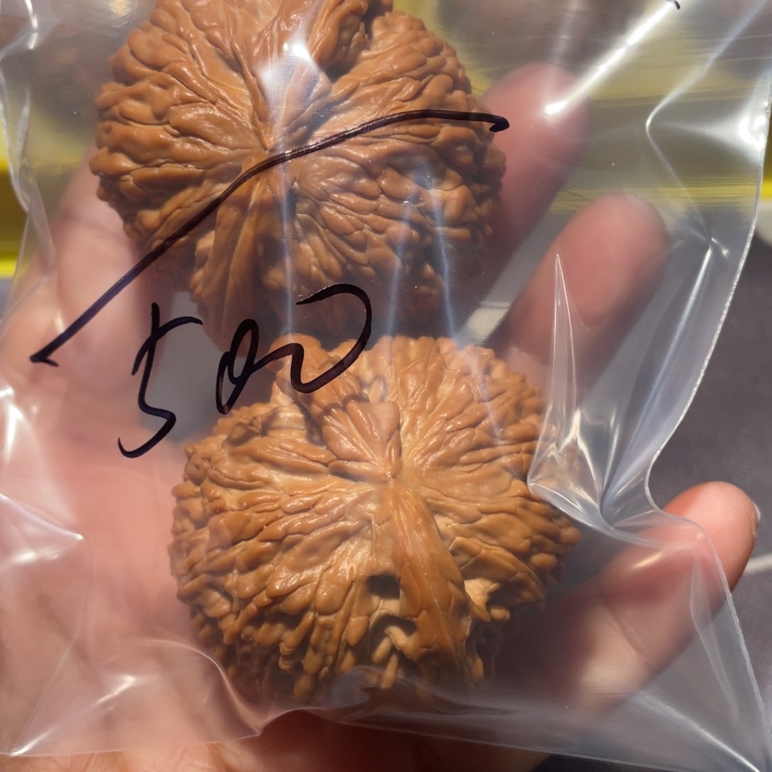 文玩核桃把件《****血文玩核桃白狮子48微修