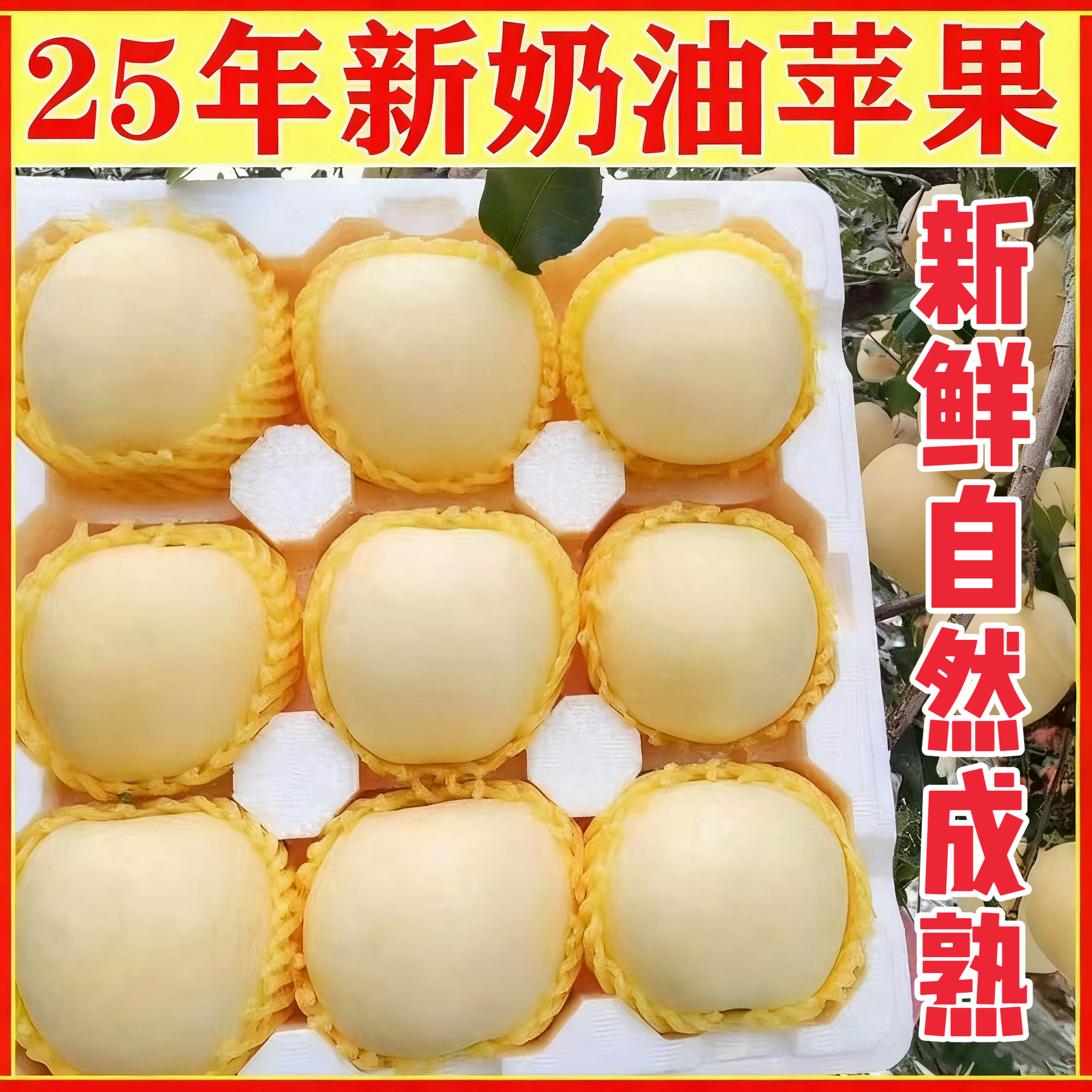新果上市山东烟台正宗奶油富士苹果脆面两吃应季水果原产地直发