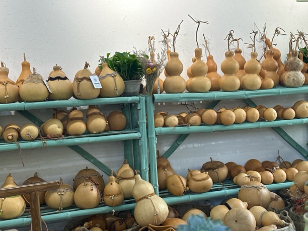 天然精品葫芦直播间一图一物对应付款