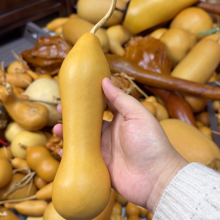 知***人竹类老皮本章葫芦