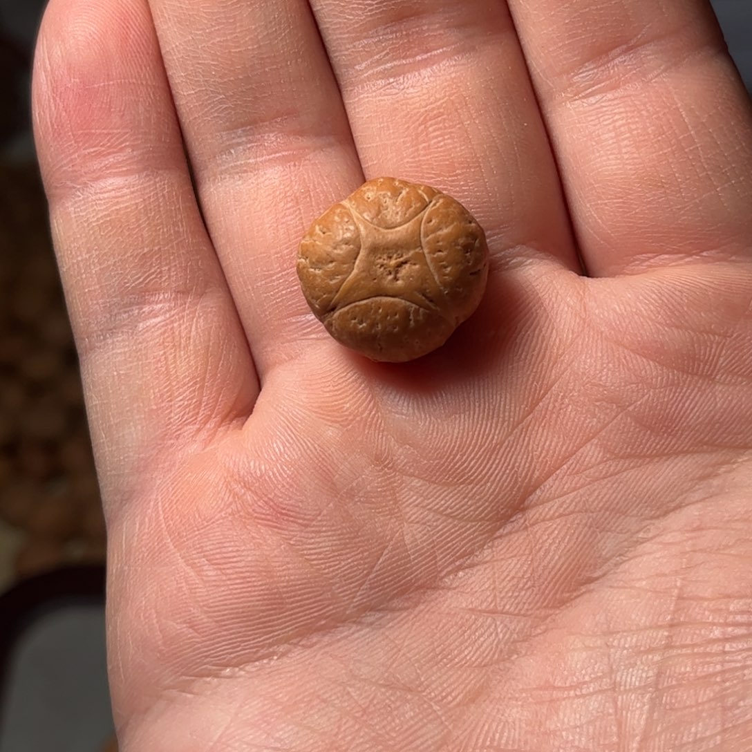 桃核吊坠19.5mm麒麟眼。开孔不退，偏远不包
