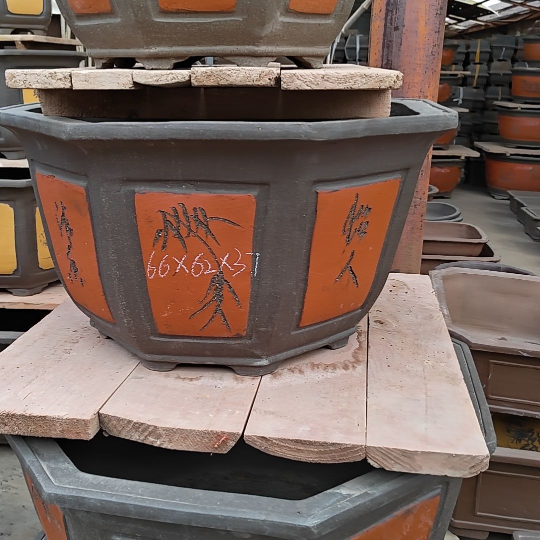 …***·66Ⅹ62X37八方红的1只