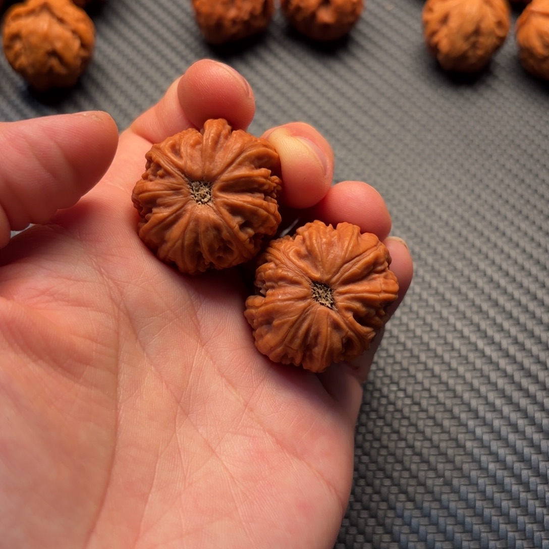 开***爷核桃哈哈哈哈哈哈