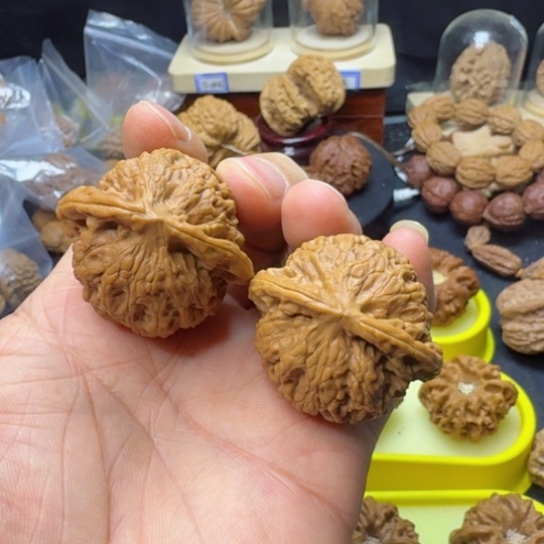 文玩核桃把件玄武42