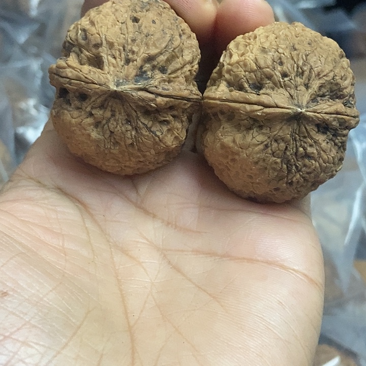 把件文玩核桃云南铁核桃基地21