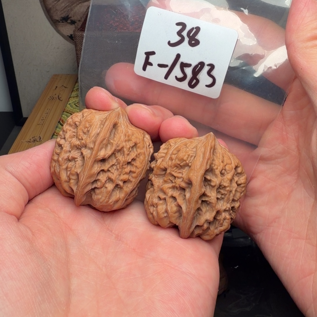 把件文玩核桃38西北将军1583号