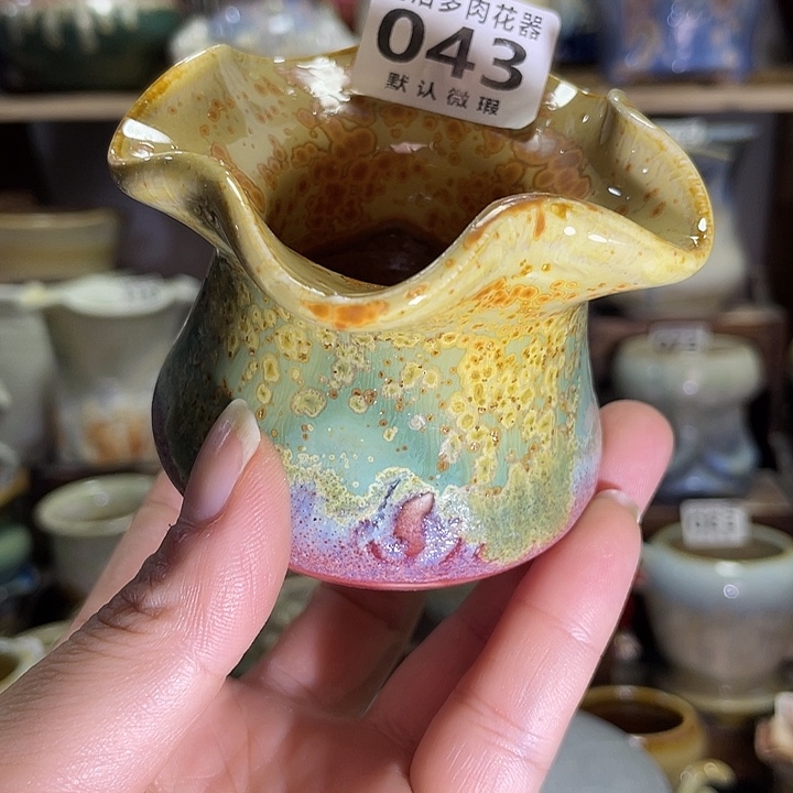 狼盆内口径5高度6