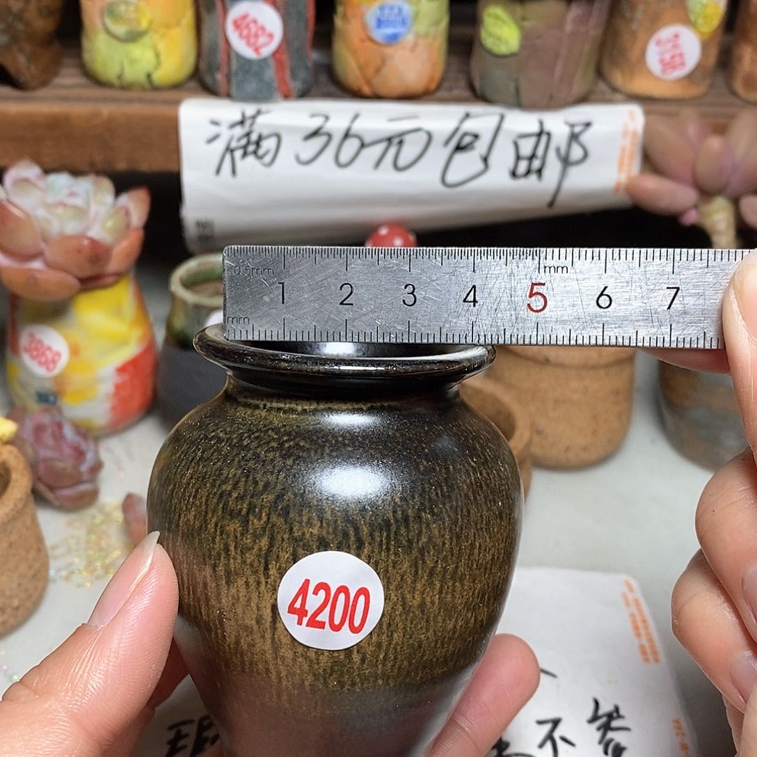 红陶拍5送一个小